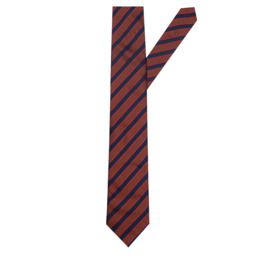 Галстук ATELIER F&B 8049/1